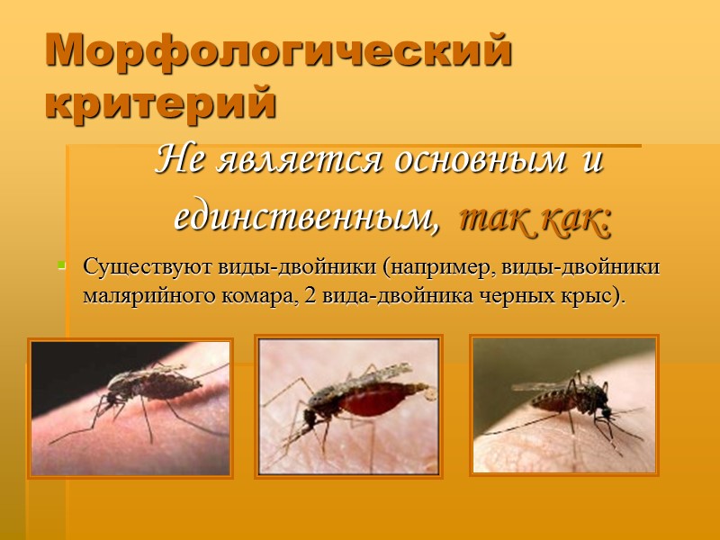 Морфологический критерий Не является основным и единственным, так как: Существуют виды-двойники (например, виды-двойники малярийного